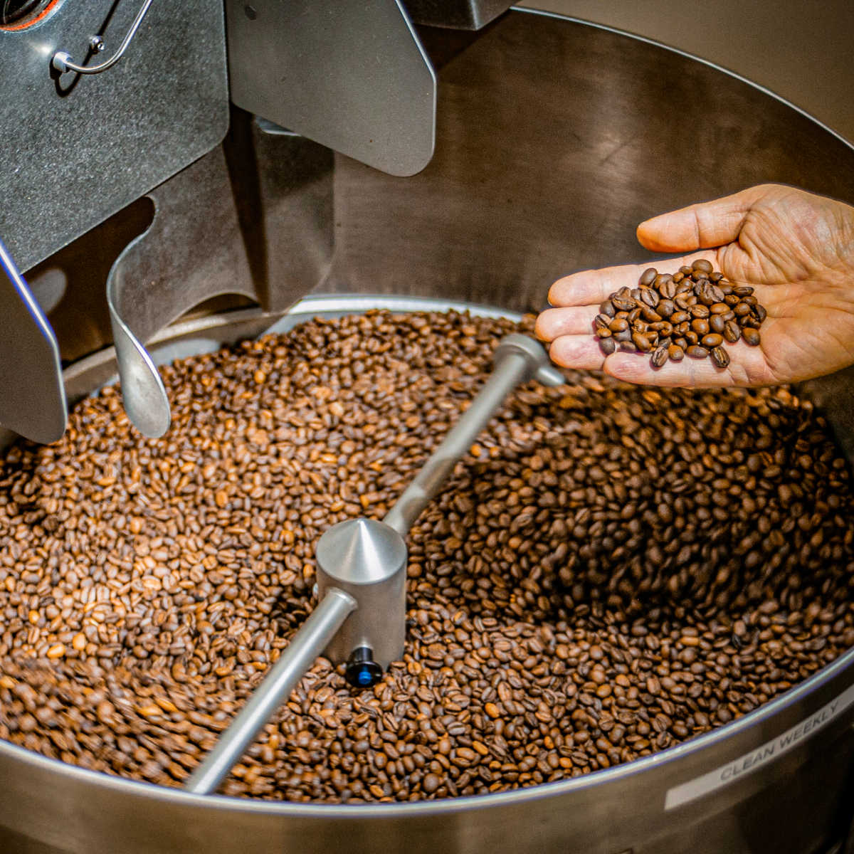 Enzyme Fermented Coffee 16oz (454g)