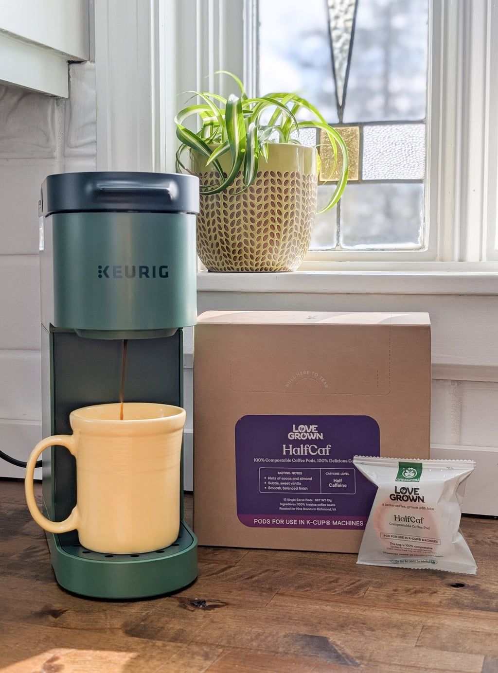 Compostable Coffee Pods — 15 or 50 Count